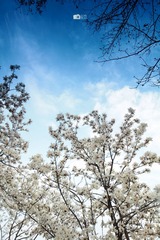 IMG_9785.jpg