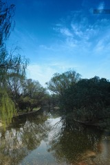 IMG_9732.jpg
