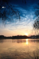 IMG_9711.jpg