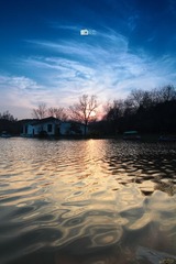 IMG_9692.jpg