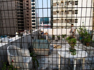 20080909-IMG_0199.jpg