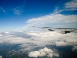 20101113-IMG_3214.jpg
