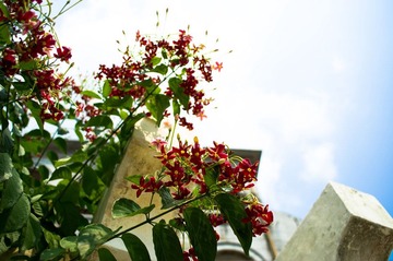 20121005-_IGP9423.jpg