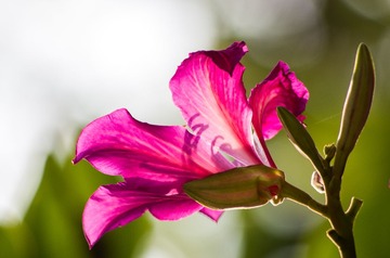 20130202-_IGP0042.jpg