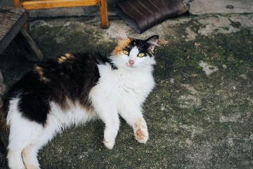 P5190217