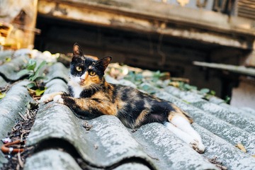 P7120290