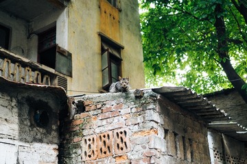 P7120516
