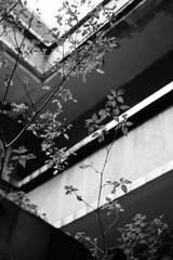 P7100834