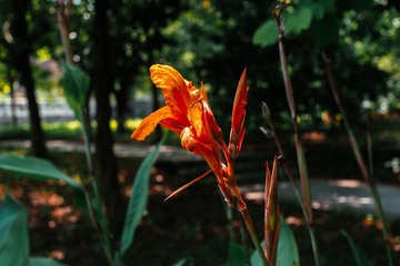 P9060196