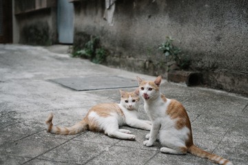 PB190739