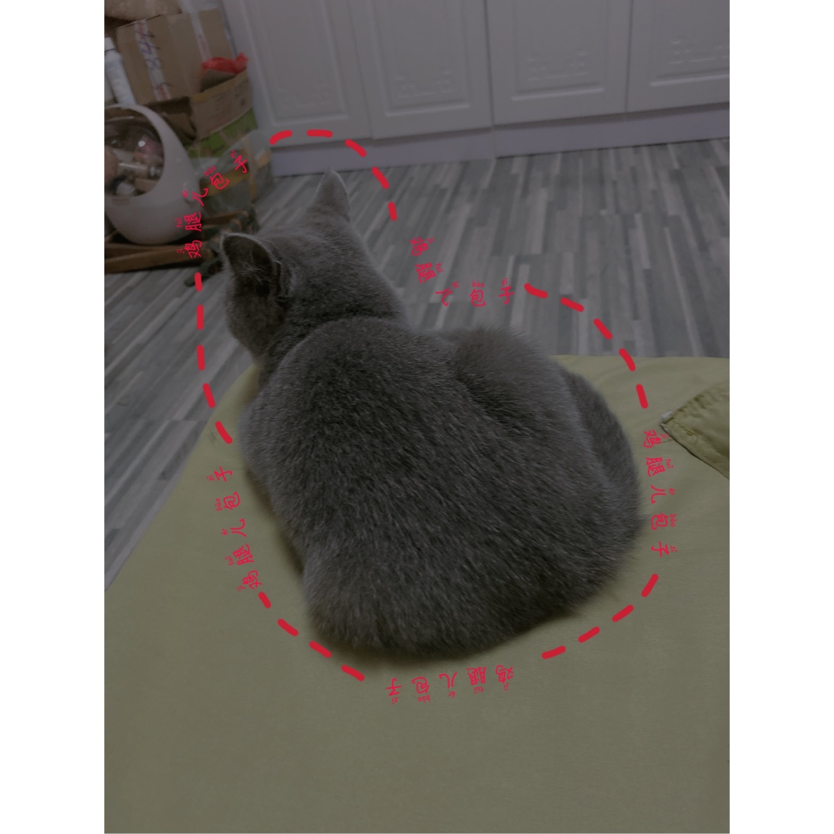 A_豆芽儿减肥纹