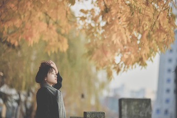 DSC_0533-编辑