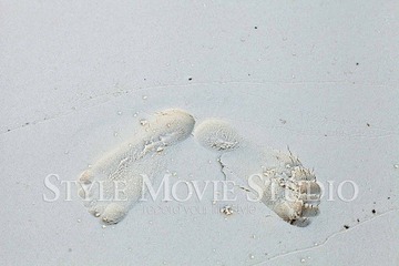 IMG_0952.jpg