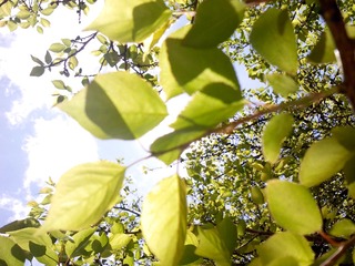 IMG_20150516_112356