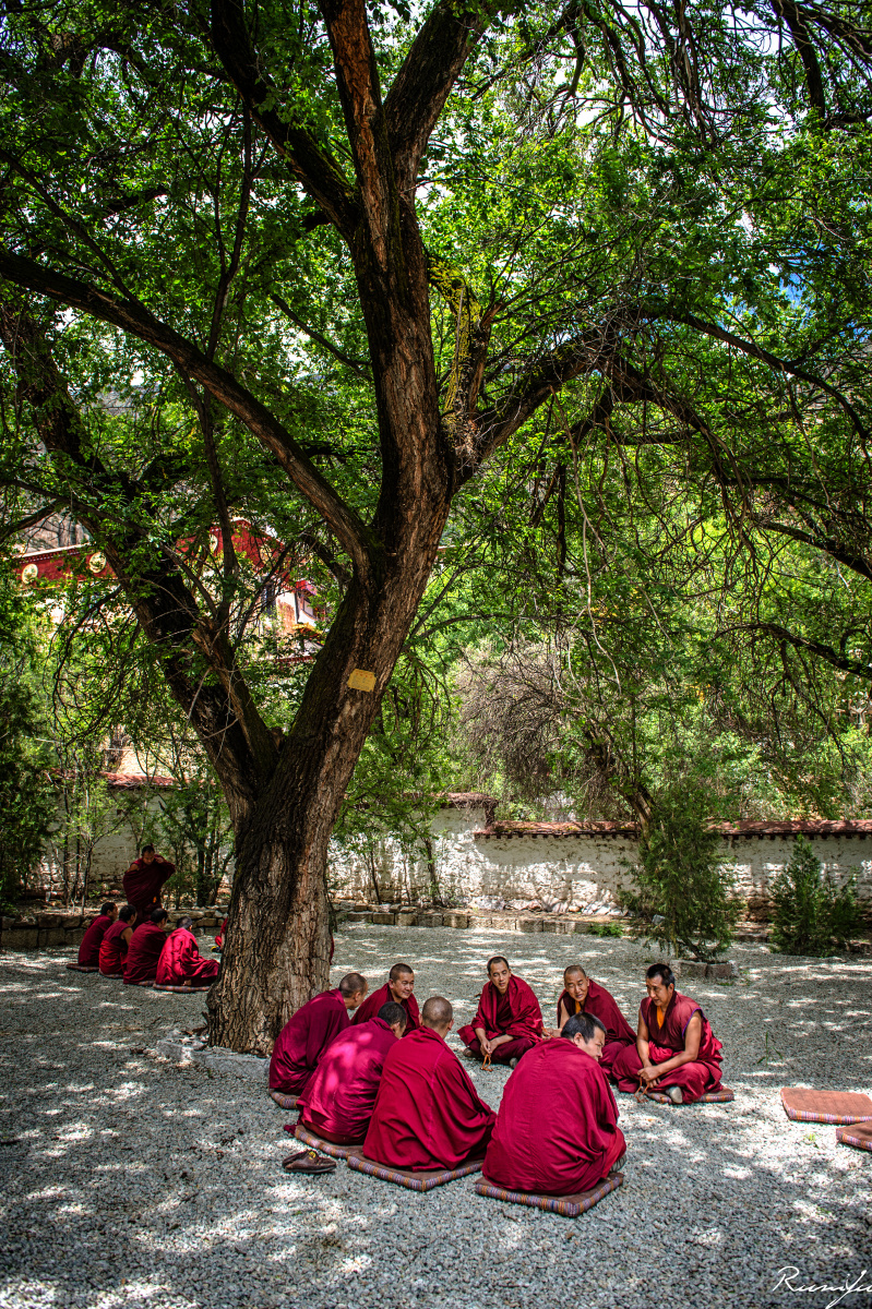 菩提树下辩真经