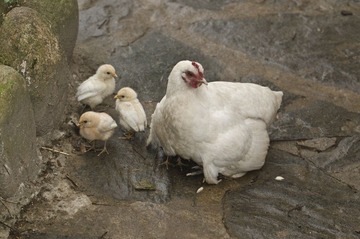 DSC_3784.jpg