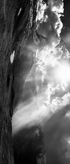 1L1005075-Pano-2