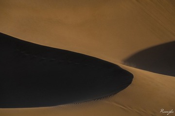 1YDR_4324.jpg