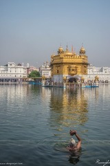 RUM_0949