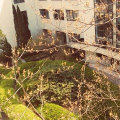 POMELO_20150326124927_fast