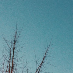 POMELO_20150327183538_fast
