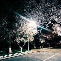 POMELO_20150411201049_fast