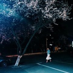 POMELO_20150411201321_fast