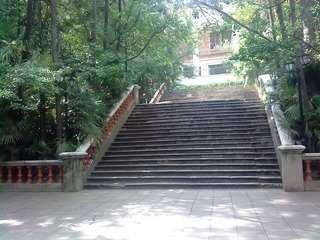 DSC00328.JPG