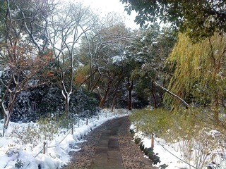 三潭印月岛1.JPG