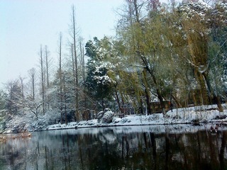西湖1.JPG