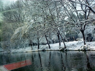 西湖11.JPG
