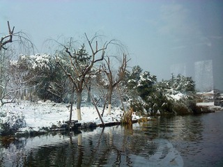 西湖19.JPG