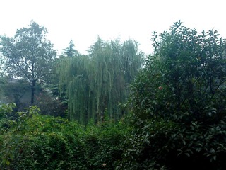 DSC00461.JPG