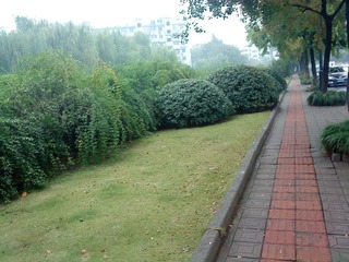 DSC00462.JPG