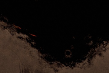 DSCF0340 22C755E8