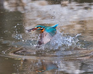 _DSC0469