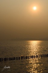 DSC_6242.jpg