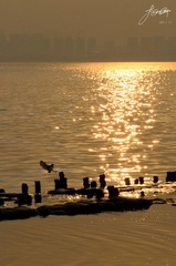 DSC_6249.jpg