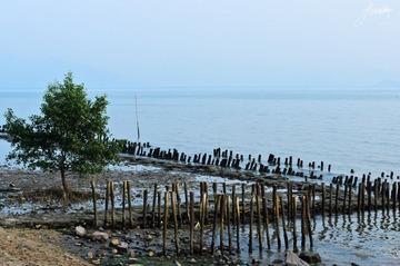DSC_6273.jpg