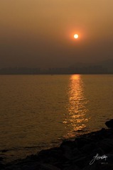 DSC_6290.jpg