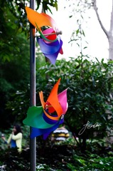 DSC_6821.jpg