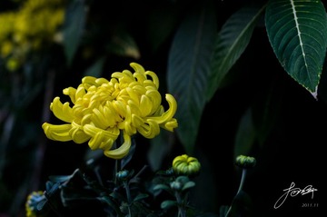 DSC_6833.jpg