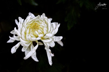 DSC_6879.jpg