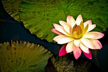 IMG_2790.jpg