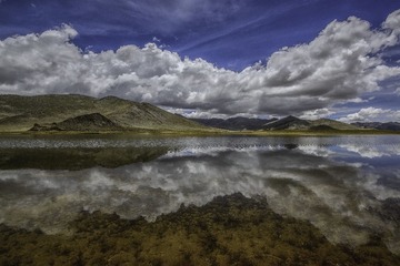 DSC_7183-编辑.jpg