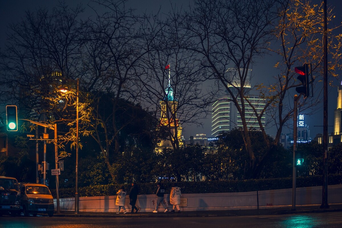 除夕夜，稀少的行人。这是外地游客，大多是青年人。走在乍浦路桥。