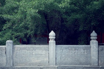 IMG_9222.JPG