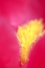 _MG_7073.JPG