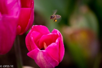 IMG_2012_03_18_6465.jpg