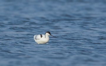 7D2_9687